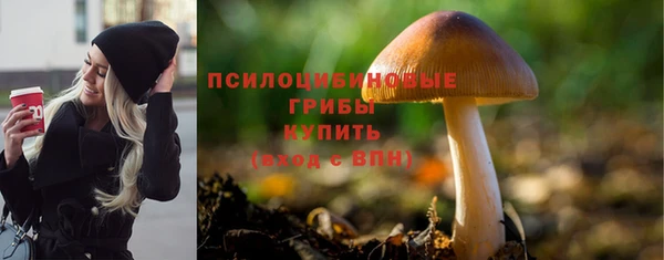 твердый Алзамай