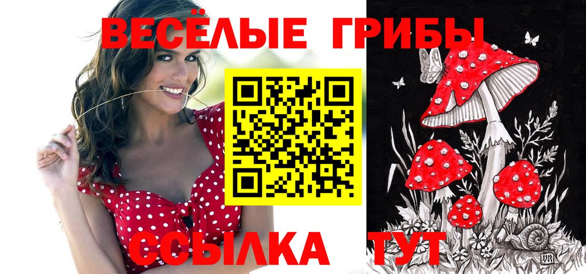 Южно-Сахалинск  Галлюциногенные грибы MAGIC MUSHROOMS  Вход с VPN 